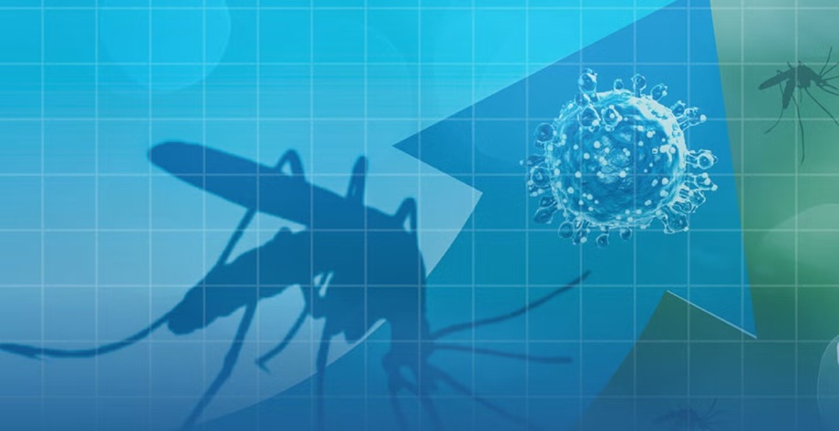 Default Alt