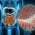 México avanza en el conocimiento sobre la microbiota