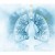 Vacuna nasal devuelve a los pulmones envejecidos la respuesta inmunitaria de la juventud