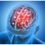 FDA aprueba a Neuralink estudiar implantes cerebrales en humanos
