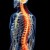 En México, cerca de 20 mil personas viven con esclerosis múltiple 